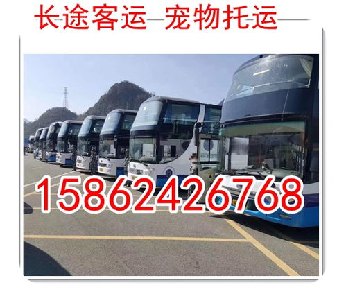 淮滨汽车喷漆价格多少